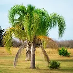 Alojamento de Turismo Rural Conca Marco *