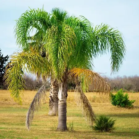 Feriegård Conca Marco *