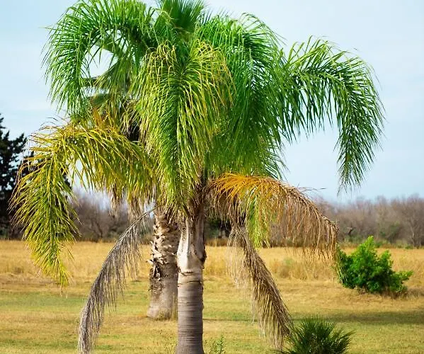 팜스테이 Conca Marco *