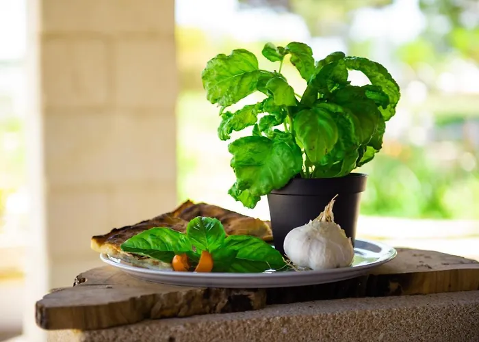 Conca Marco 팜스테이 *